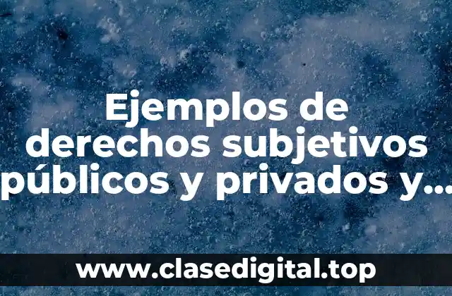 Ejemplos de derechos subjetivos públicos y privados y Significado
