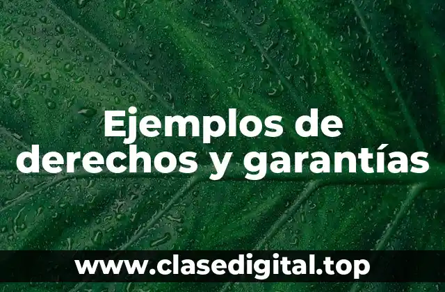 Ejemplos de derechos y garantías