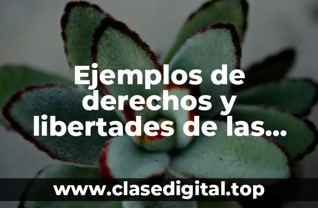 Ejemplos de derechos y libertades de las personas