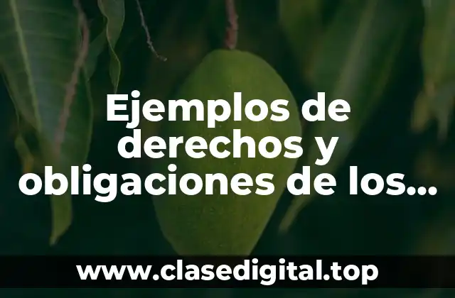 Ejemplos de derechos y obligaciones de los ciudadanos mexicanos.