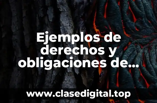 Ejemplos de derechos y obligaciones de repartidor y distribuidor