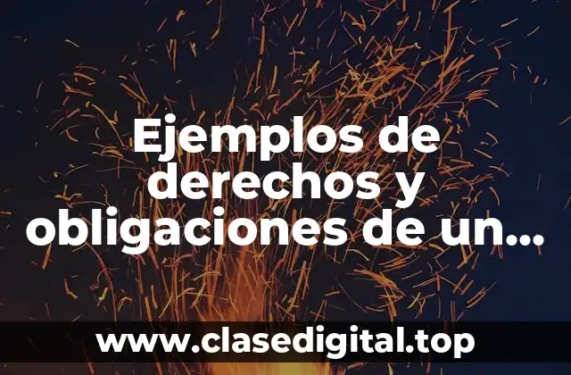 Ejemplos de derechos y obligaciones de un empleador