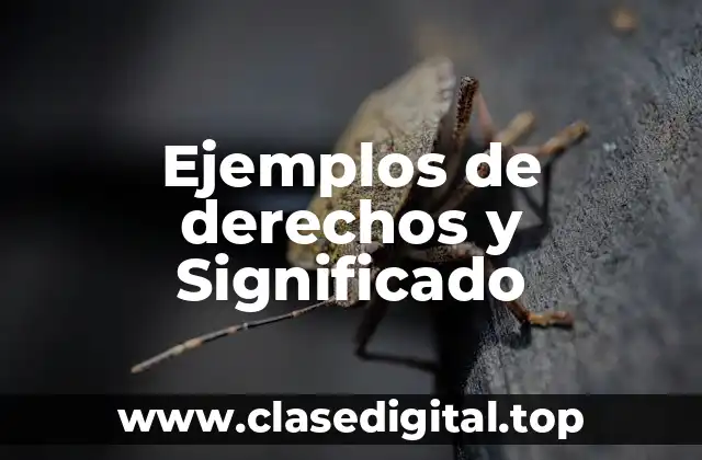 Ejemplos de derechos y Significado