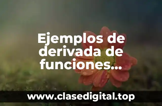 Ejemplos de derivada de funciones exponenciales y logaritmicas y Significado