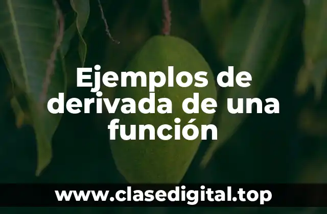 Ejemplos de derivada de una función