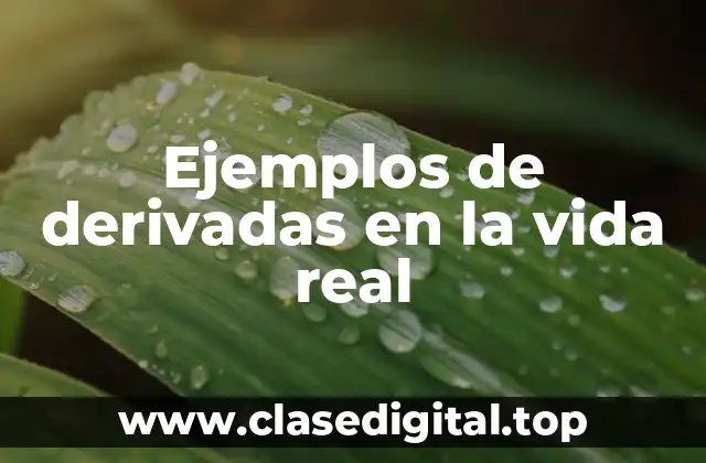 Ejemplos de derivadas en la vida real