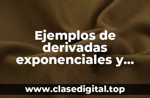 Ejemplos de derivadas exponenciales y logaritmicas y Significado