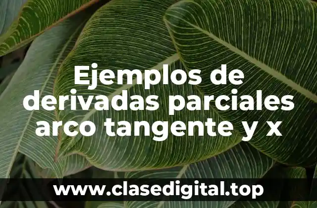 Ejemplos de derivadas parciales arco tangente y x