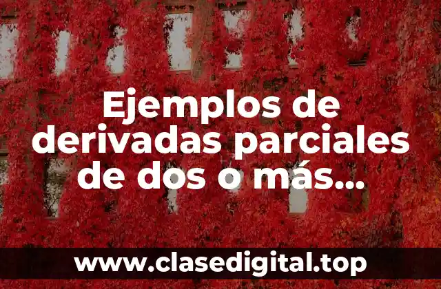 Ejemplos de derivadas parciales de dos o más variables