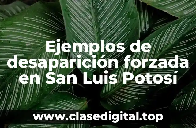 Ejemplos de desaparición forzada en San Luis Potosí