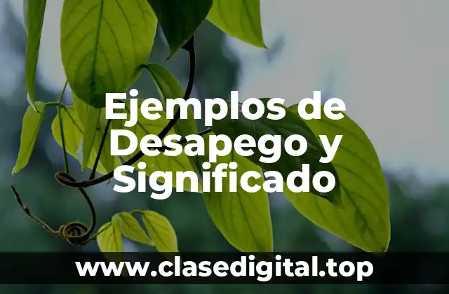 Ejemplos de Desapego