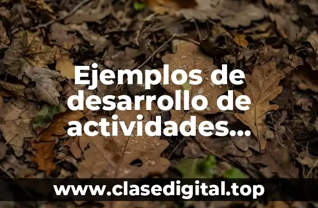 Ejemplos de desarrollo de actividades conjuntas en la integración económica y Significado