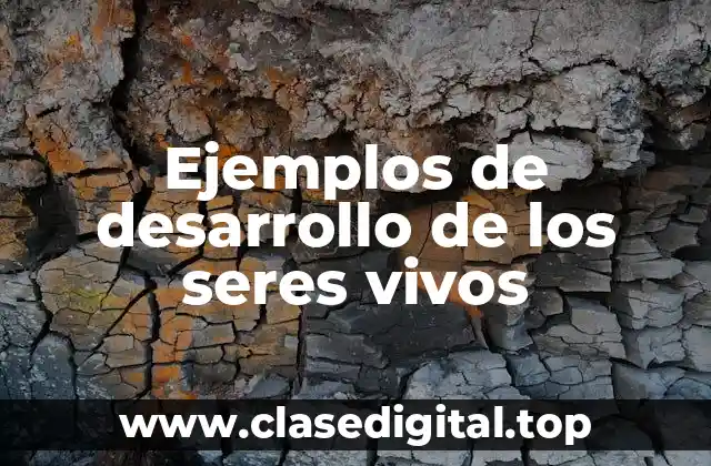 Ejemplos de desarrollo de los seres vivos