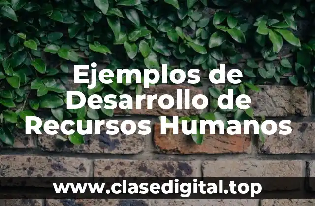 Ejemplos de Desarrollo de Recursos Humanos
