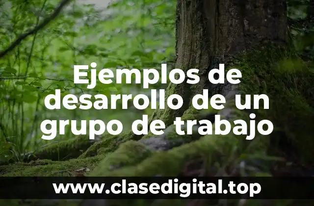 Ejemplos de desarrollo de un grupo de trabajo