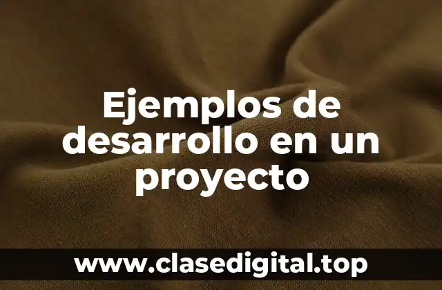 Ejemplos de desarrollo en un proyecto