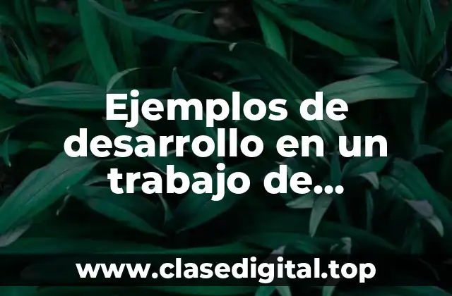 Ejemplos de desarrollo en un trabajo de investigación