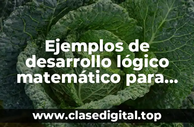 Ejemplos de desarrollo lógico matemático