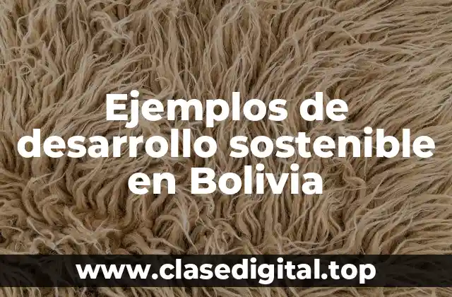 Ejemplos de desarrollo sostenible en Bolivia