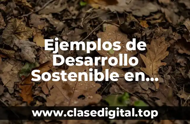 Ejemplos de Desarrollo Sostenible en Ecuador