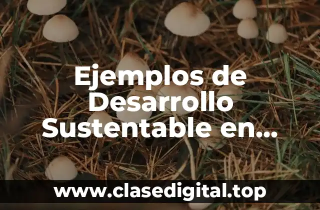 Ejemplos de Desarrollo Sustentable en Japón