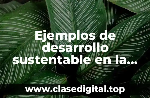 Ejemplos de desarrollo sustentable en la escuela