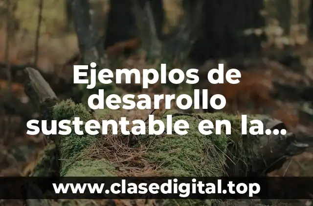 Ejemplos de desarrollo sustentable