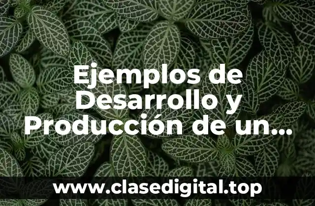 Ejemplos de Desarrollo y Producción de un Producto