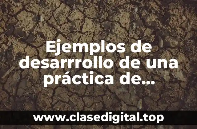 Ejemplos de desarrrollo de una práctica de laboratorio