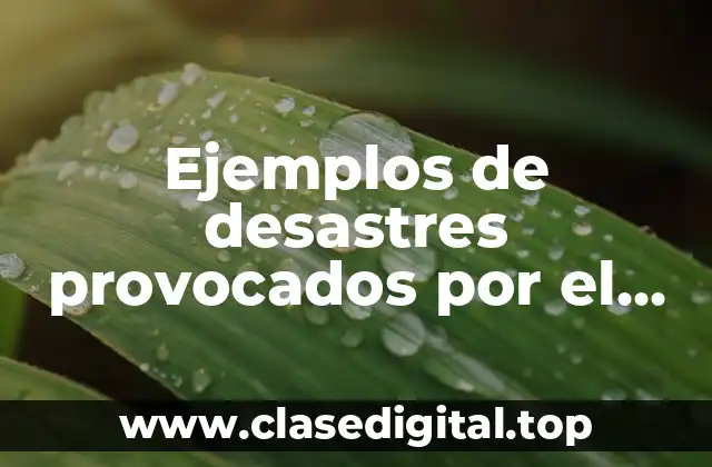 Ejemplos de desastres provocados por el mal uso de las tecnologias. y Significado