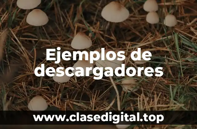 Ejemplos de descargadores