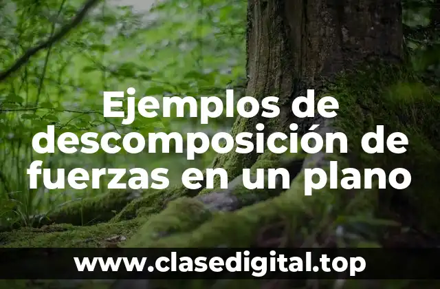 Ejemplos de descomposición de fuerzas en un plano