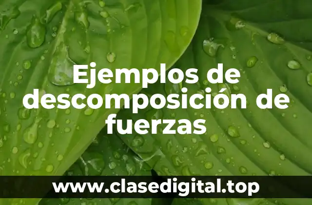 Ejemplos de descomposición de fuerzas