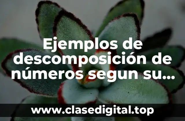Ejemplos de descomposición de números segun su valor posicional