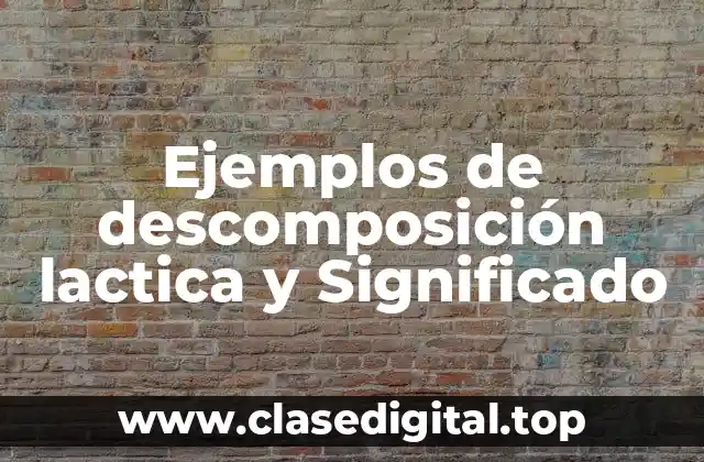 Ejemplos de descomposición lactica y Significado