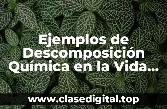 Ejemplos de Descomposición Química en la Vida Cotidiana