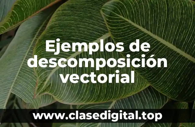 Ejemplos de descomposición vectorial