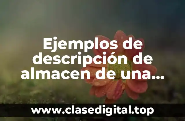 Ejemplos de descripción de almacen de una empresa y Significado