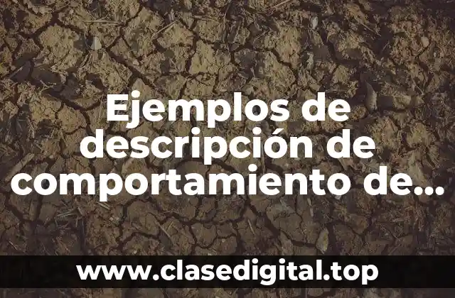 Ejemplos de descripción de comportamiento de los alumnos