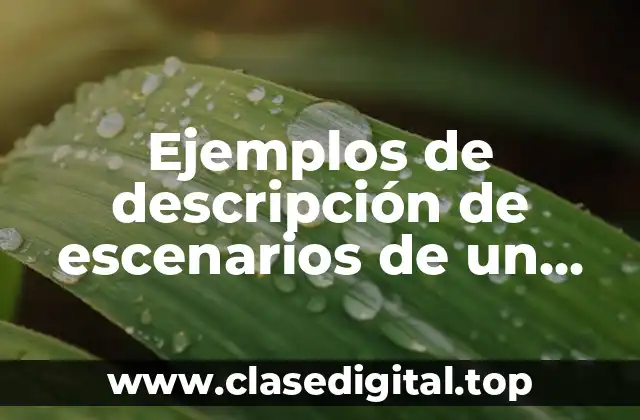 Ejemplos de descripción de escenarios de un adolescente
