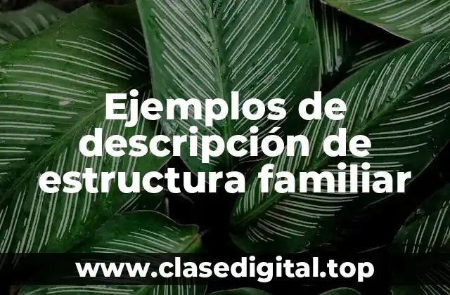Ejemplos de descripción de estructura familiar