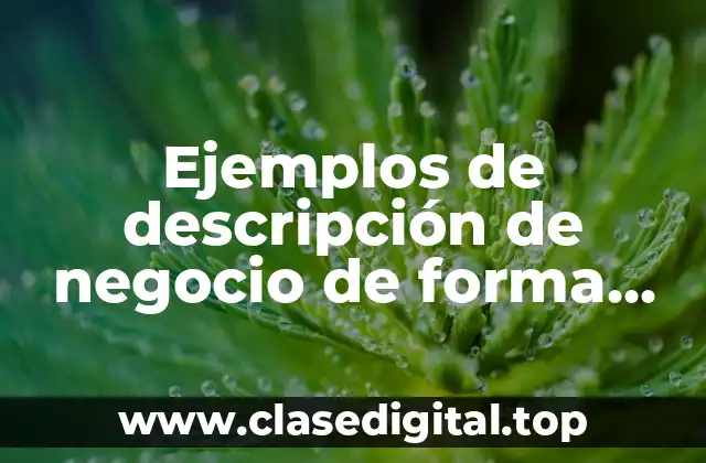 Ejemplos de descripción de negocio de forma activa