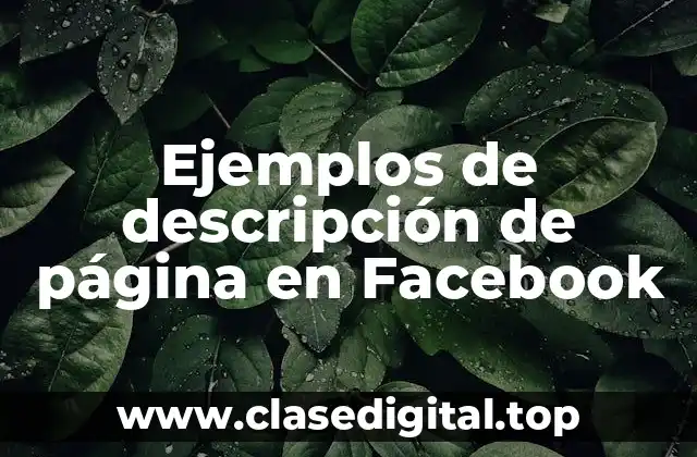 Ejemplos de descripción de página en Facebook
