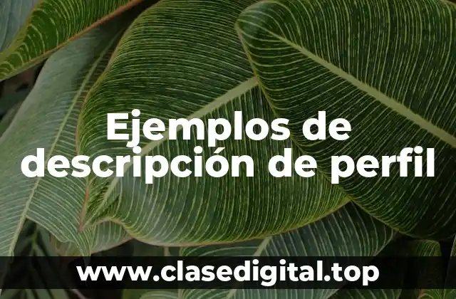 Ejemplos de descripción de perfil