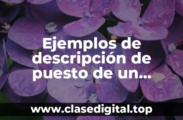 Ejemplos de descripción de puesto de un electricista