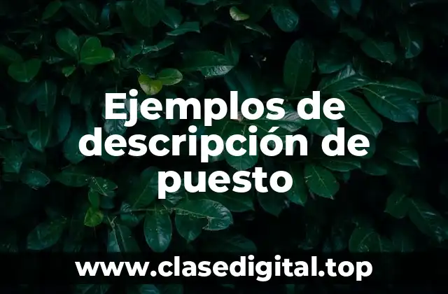 Ejemplos de descripción de puesto