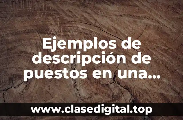 Ejemplos de descripción de puestos en una empresa