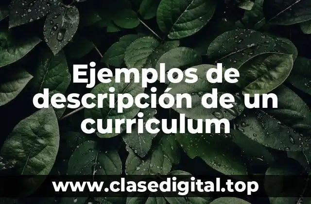 Ejemplos de descripción de un curriculum