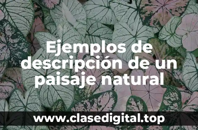 Ejemplos de descripción de un paisaje natural