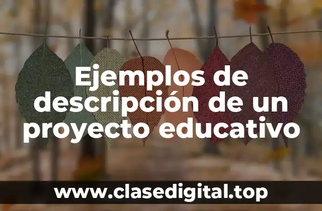 Ejemplos de descripción de un proyecto educativo